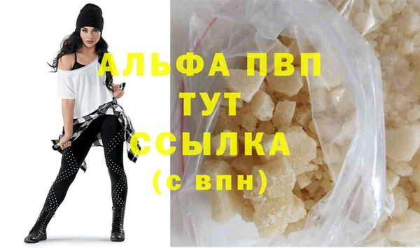 индика Володарск