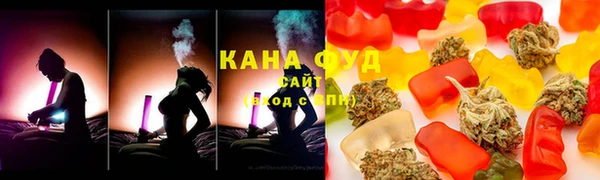 индика Володарск