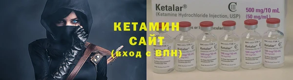 гидра Гатчина