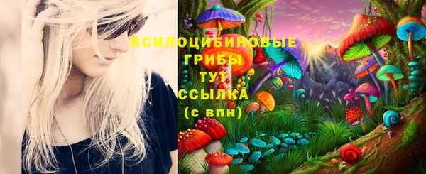 бошки Верхний Тагил