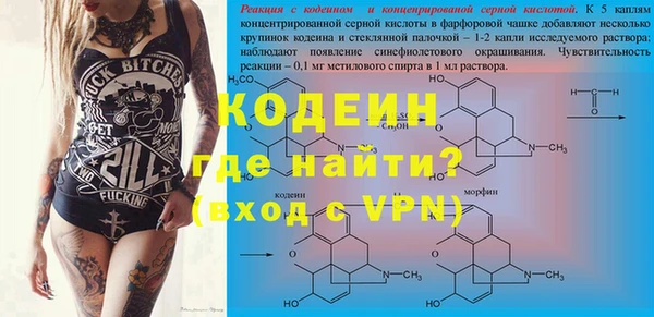 индика Володарск