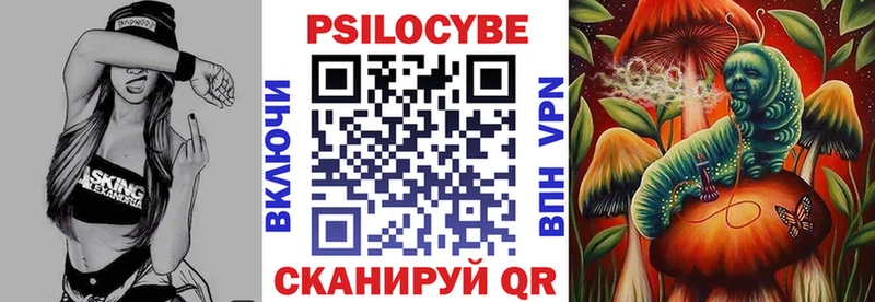 гидра как зайти  Карабулак  Псилоцибиновые грибы Psilocybine cubensis 